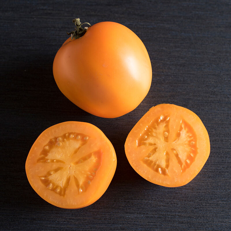 Heirloom tomato - Valencia, 4" pot