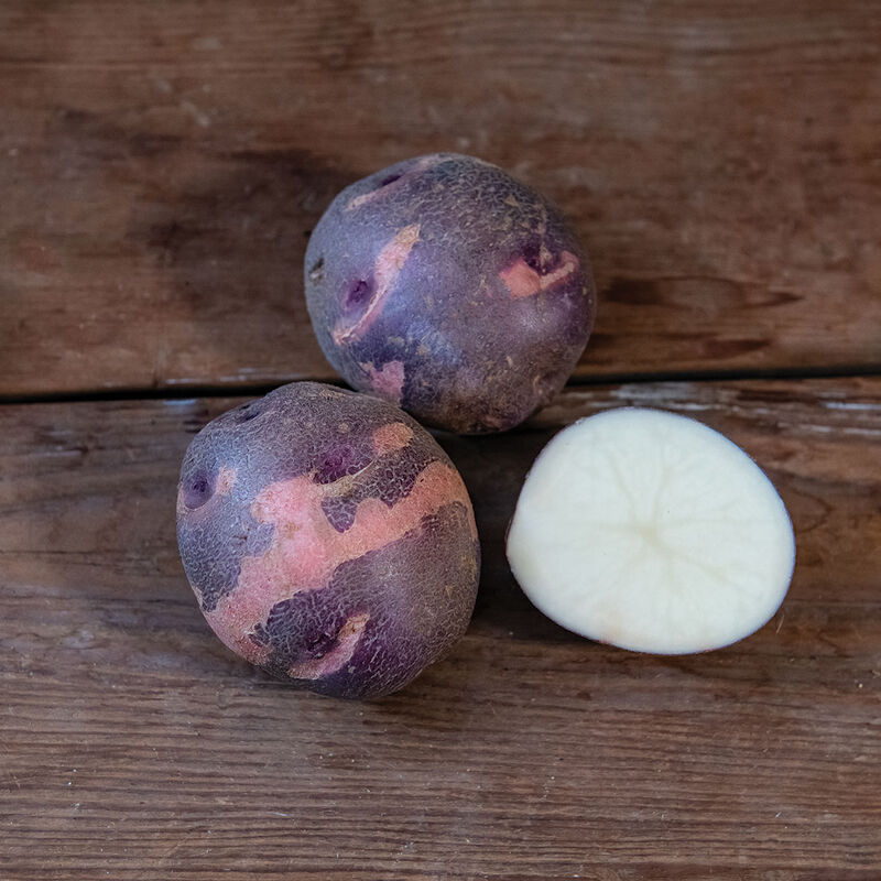 Seed Potato - Purple Viking, 1 lb.