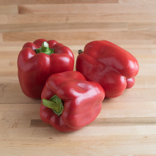 Sweet pepper, "Red Knight"