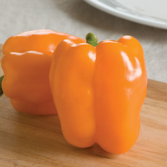 Sweet Pepper, "Gourmet"