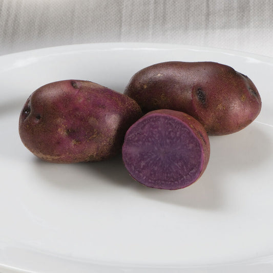 Seed Potato - Adirondack Blue, 1 lb.