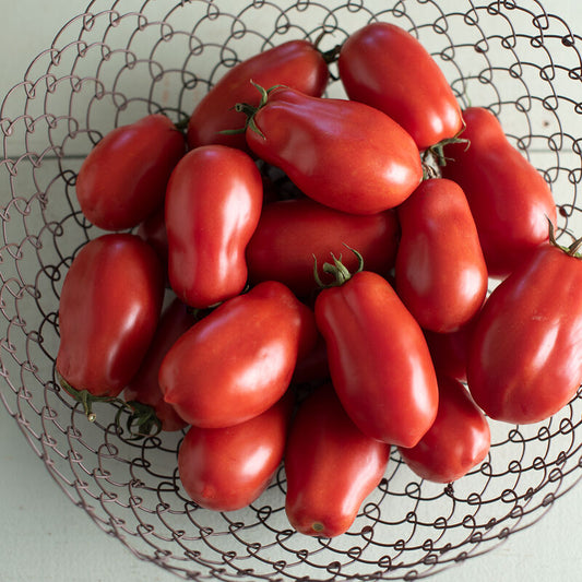 Sauce Tomato - Tomato - San Marzano