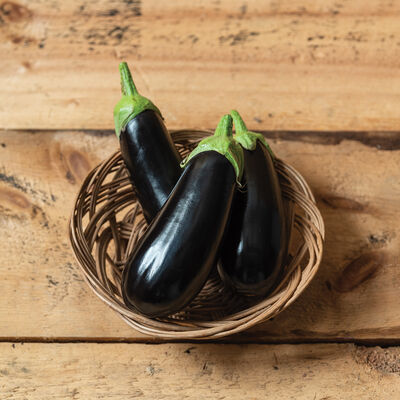 Eggplant, Italian