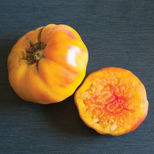 Heirloom Tomato - Striped German, 4" pot