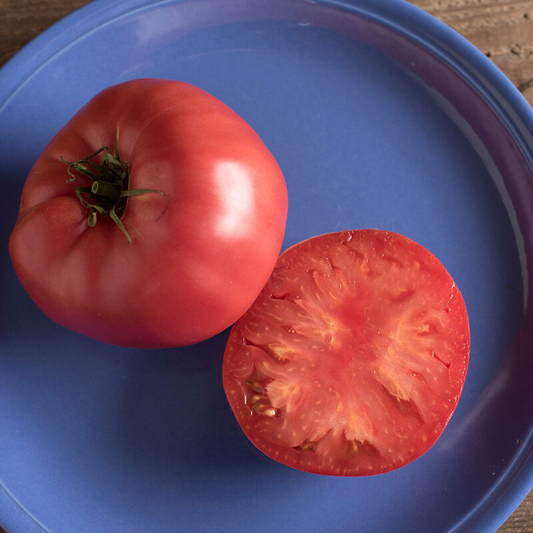 Heirloom Tomato - Brandywine, 4" pot