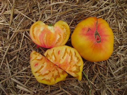 Tomato, "Pineapple"